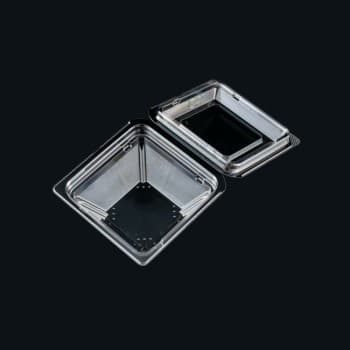 バイオカップ　プリズムシェル　11-43　50枚