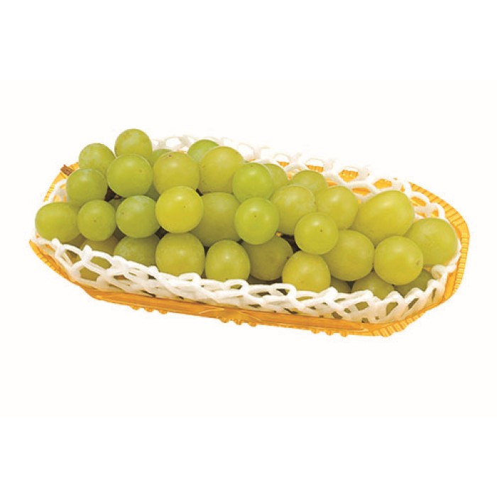 【サンプル】FR−12　ゴールド