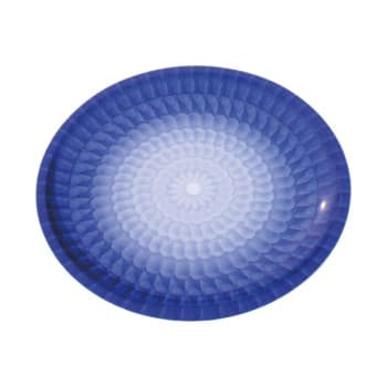 【サンプル】丸皿 D-19 菊花