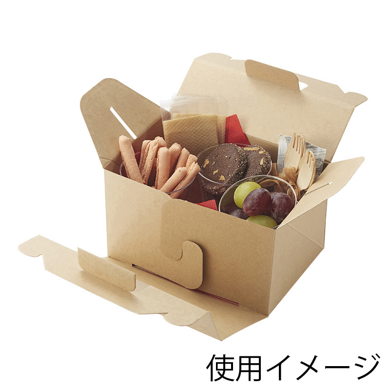 【特価セール】ネオクラフト　キャリーBOX　L