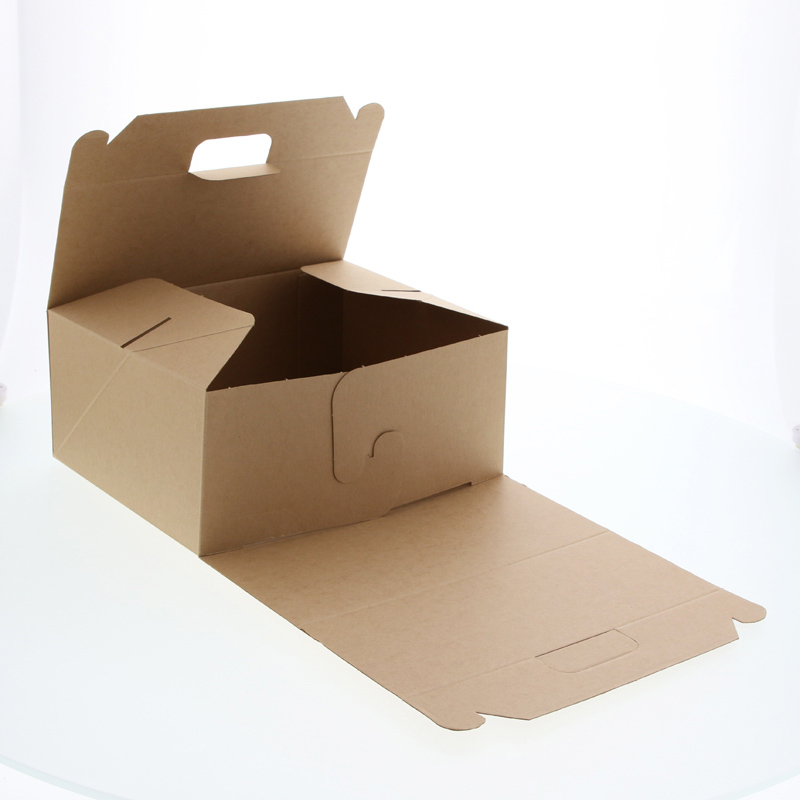 【サンプル】ネオクラフト　キャリーBOX　LL