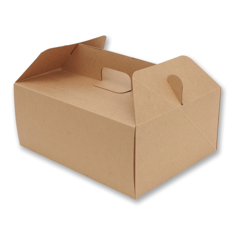 【サンプル】ネオクラフト　キャリーBOX　LL