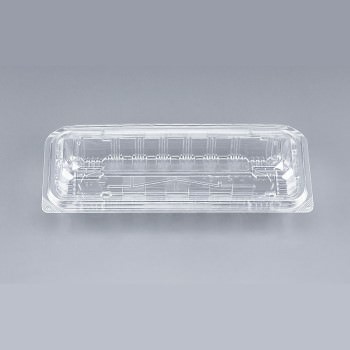 HEIKO 食品容器 バンブーペーパーウエア フードパック BFD-15 20